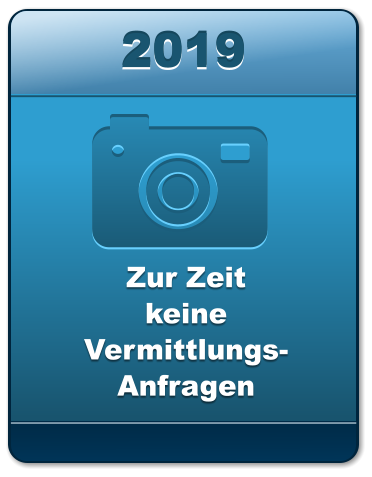 2019 2019 2019 Zur ZeitkeineVermittlungs-Anfragen