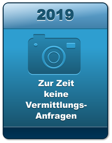 2019 2019 2019 Zur ZeitkeineVermittlungs-Anfragen